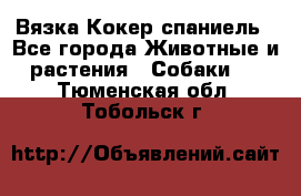 Вязка Кокер спаниель - Все города Животные и растения » Собаки   . Тюменская обл.,Тобольск г.